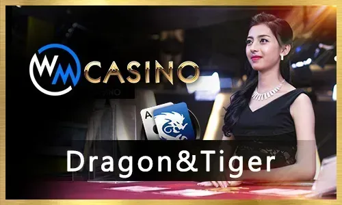 Attractive bonus offers and free spins for new casino players